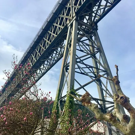 Virginia * Redondela