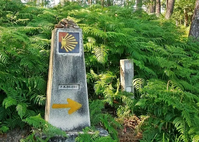 Virginia * Redondela