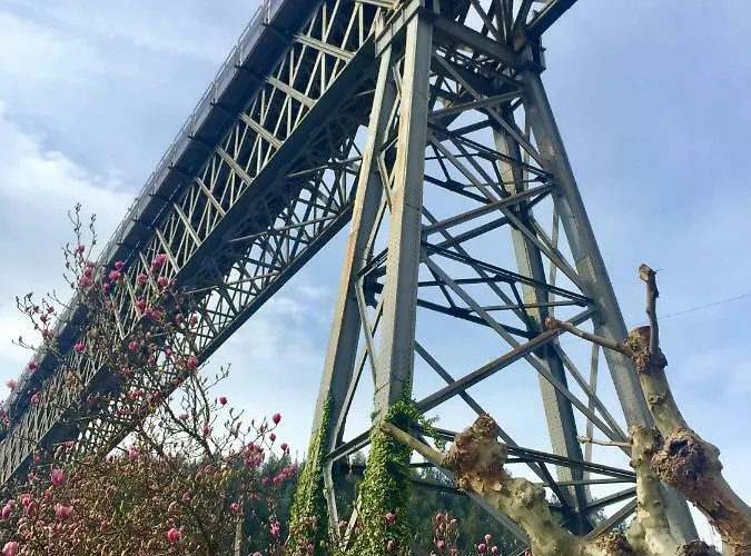 Virginia * Redondela